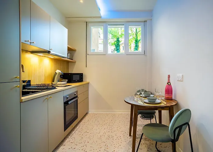 Jacuzzi & Sauna - Centre - Strasbnb アパート ストラスブール